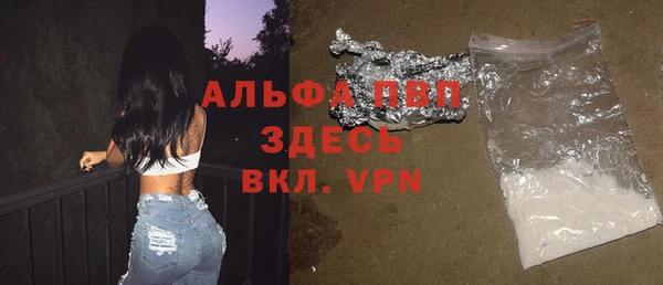 трава Белокуриха