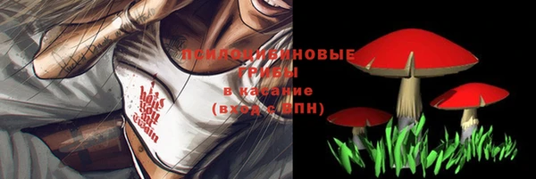 амф Белоозёрский