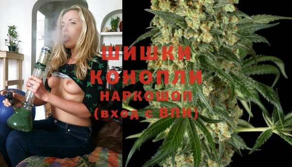 трава Белокуриха