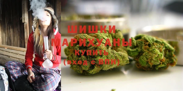 ПСИЛОЦИБИНОВЫЕ ГРИБЫ Беломорск