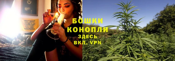 ПСИЛОЦИБИНОВЫЕ ГРИБЫ Беломорск